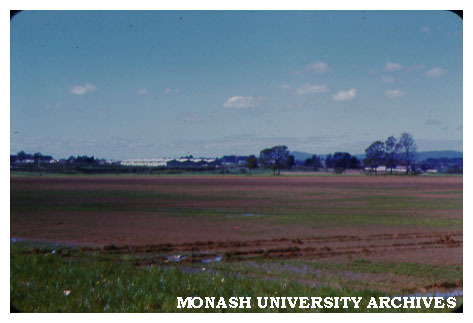 View of site looking east
