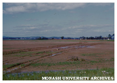 View of site looking east towards Dandenongs