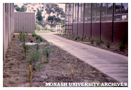 Garden outside Zoology building