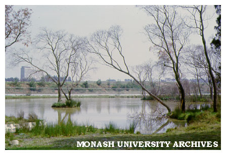 Snake Gully with Menzies building in background