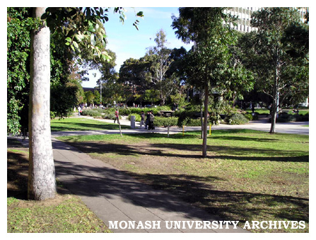 View of Clayton campus looking across pond towards Menzies Building