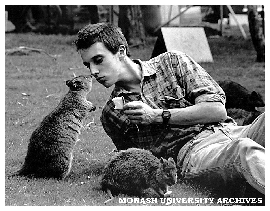 Wallaby keeper Mr Antony Taggart feeding quokkas