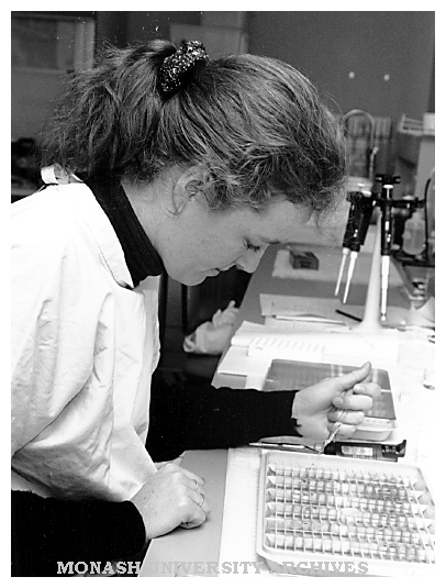Ms Anna Butt, scientist at Prince Henry's Institute of Medical Research, performs an assay to examine endothelin production
