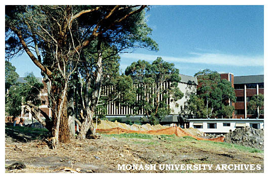 Car park construction, Peninsula campus