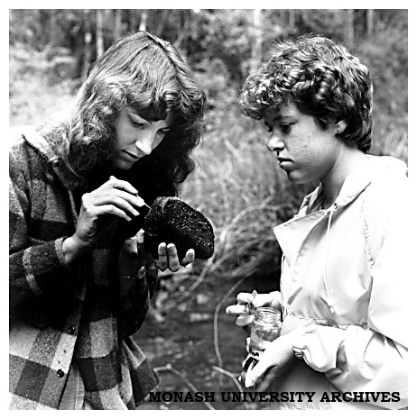 Second and third year Aquatic Science students on a field trip to Cement Creek
