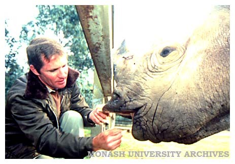 Postgraduate researcher Mr Andrew Thorne collects saliva from a black rhinoceros for the Monash University Animal Gene Storage Resources Centre