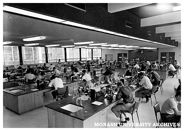 Students in laboratory