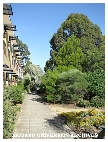 Garden between Faculty of Information Technology building and Engineering buildings