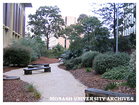 Path and garden between David Derham School of Law and Menzies building