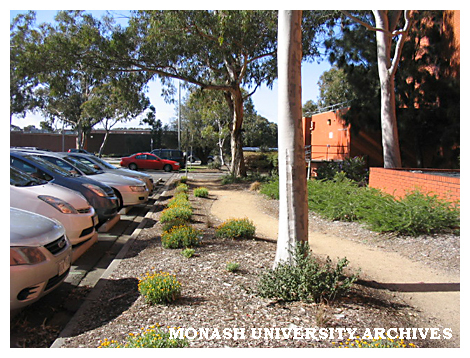 Garden beds and path beside Robert Blackwood Hall