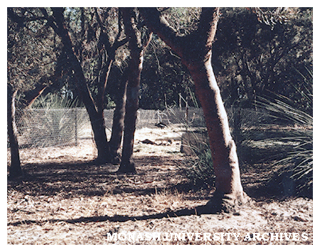 Jock Marshall Reserve