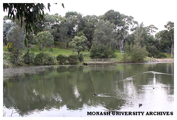 Clayton campus lake, looking north-east