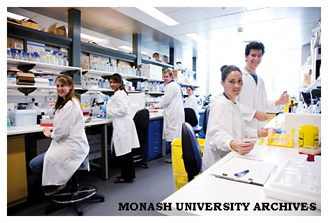 Postgraduate researchers at the Immunology and Stem Cell Laboratories, Clayton campus