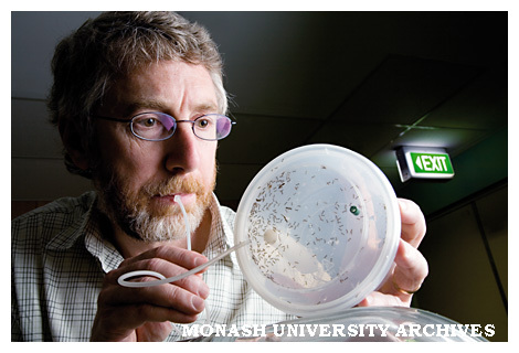 Associate Professor Martin Burd studies ants, specifically what they can teach us about crowd movement.