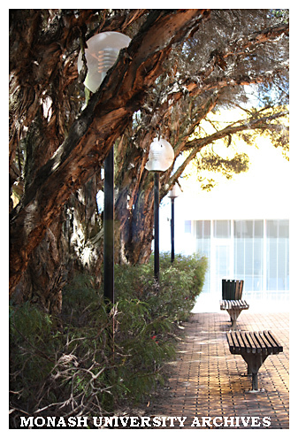 Courtyard gardens at Caulfield campus