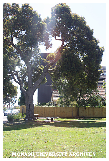 Grounds of Caulfield campus, Building J in the background