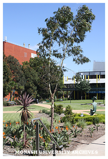Caulfield campus central common