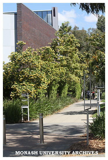 Footpath beside Engineering building (72), Clayton campus