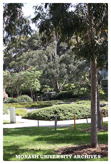 Looking towards pond from Administration building, Clayton campus.