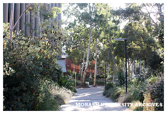 Grounds of Peninsula campus