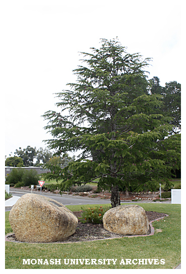 Jock Lawson memorial (near Eva West Circle), Gippsland campus