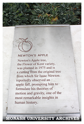 Newton apple tree plaque, Clayton campus