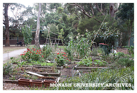 Permaculture garden, Clayton campus
