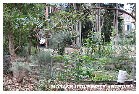 Permaculture garden, Clayton campus