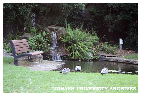 Pond in Vera Moore garden, Clayton campus