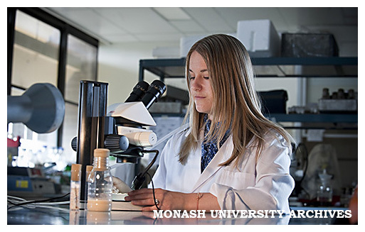Belinda van Heerwaarden researcher in Biological Sciences investigating adaptation to climate change of rainforest species