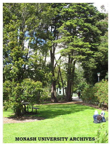 Lawns off Rainforest Walk, Clayton campus