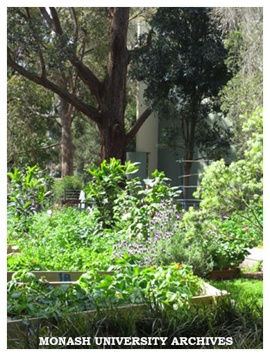 Permaculture garden, Clayton campus