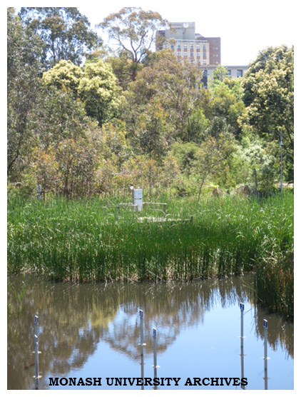 Jock Marshall Reserve, Clayton campus
