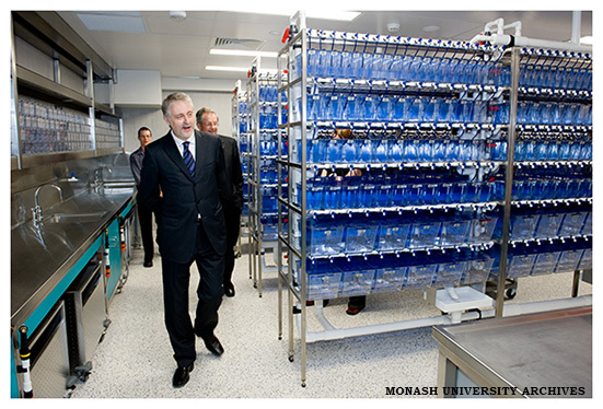 Victorian Innovation Minister Gavin Jennings touring the zebra fish research facility located within the Australian Regenerative Medicine Institute