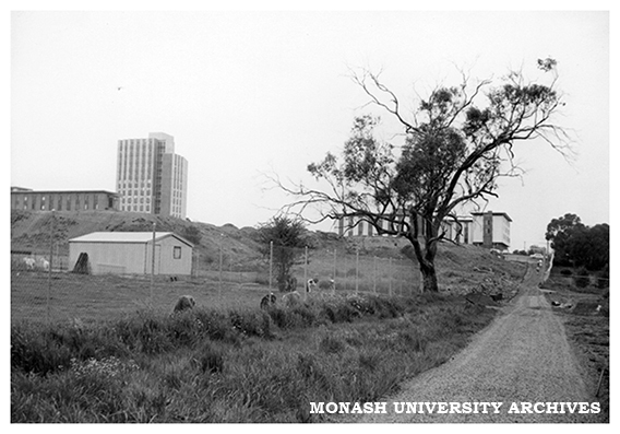 North east halls viewed from path to Engineering Building