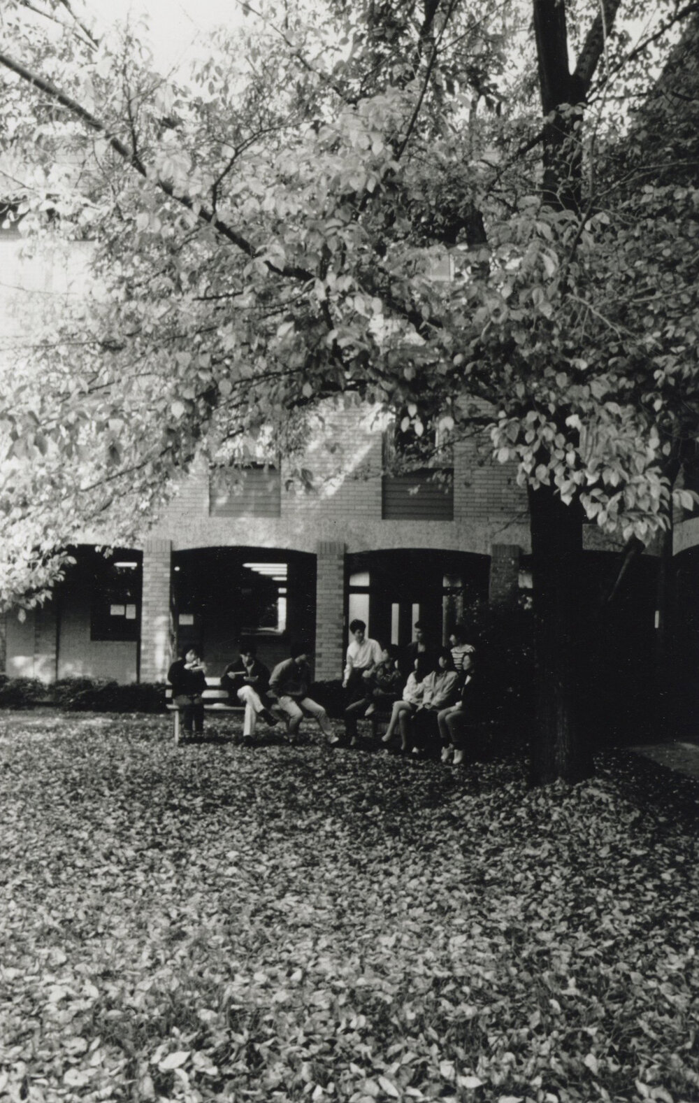 Students in Normanby House courtyard in autumn