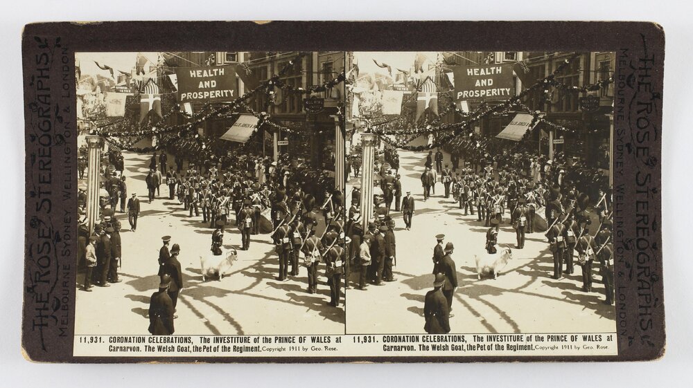 Coronation celebrations, The Investiture of the Prince of Wales at Carnarvon. The Welsh goat, the pet of the regiment