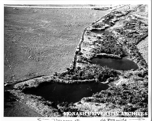 Aerial view of Ewen Ponds