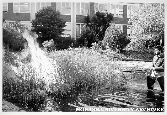 Ian Rossiter burning off bullrushes in systems garden