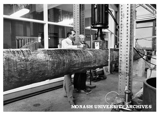 Professor Noel Murray and technician Henry Puszka examining log for signs of strain
