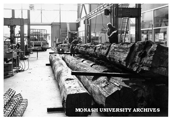 Testing red gum for use in bridge building