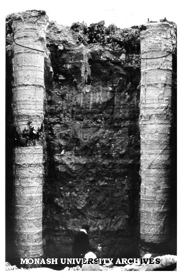 Excavation piles in mudstone pit