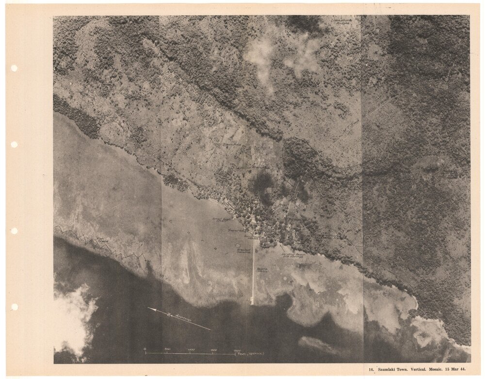 Allied Geographical Section South West Pacific Area Terrain Studies