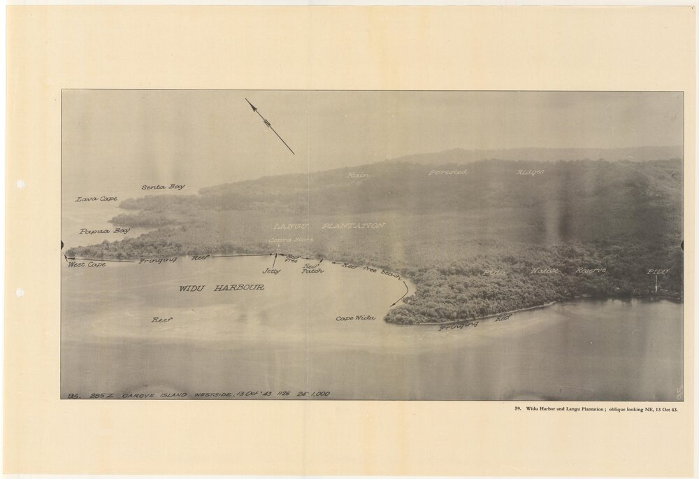 Allied Geographical Section South West Pacific Area Terrain Studies