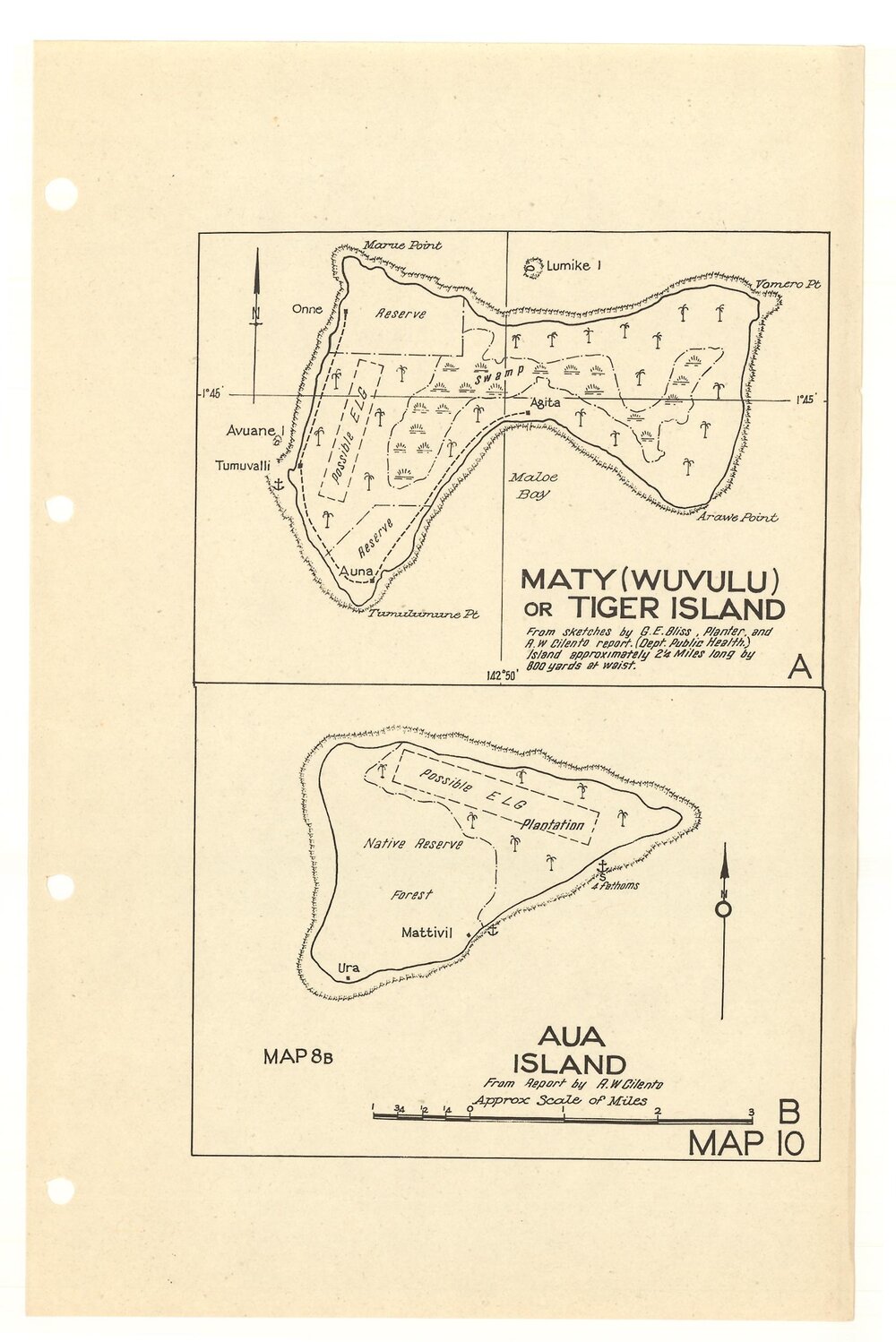 Allied Geographical Section South West Pacific Area Terrain Studies
