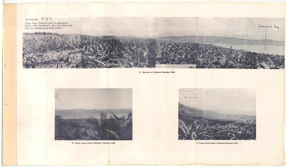 Allied Geographical Section South West Pacific Area Terrain Studies