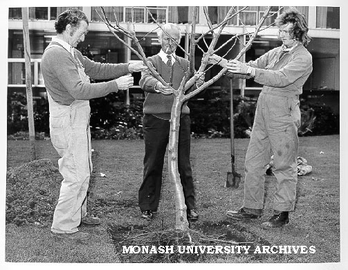 Curator John Cranwell, and grounds staff planting Newton Apple tree