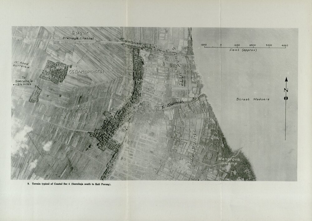 Allied Geographical Section: WWII South West Pacific Area Special Reports
