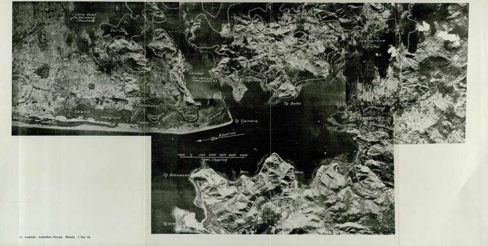 Allied Geographical Section: WWII South West Pacific Area Special Reports