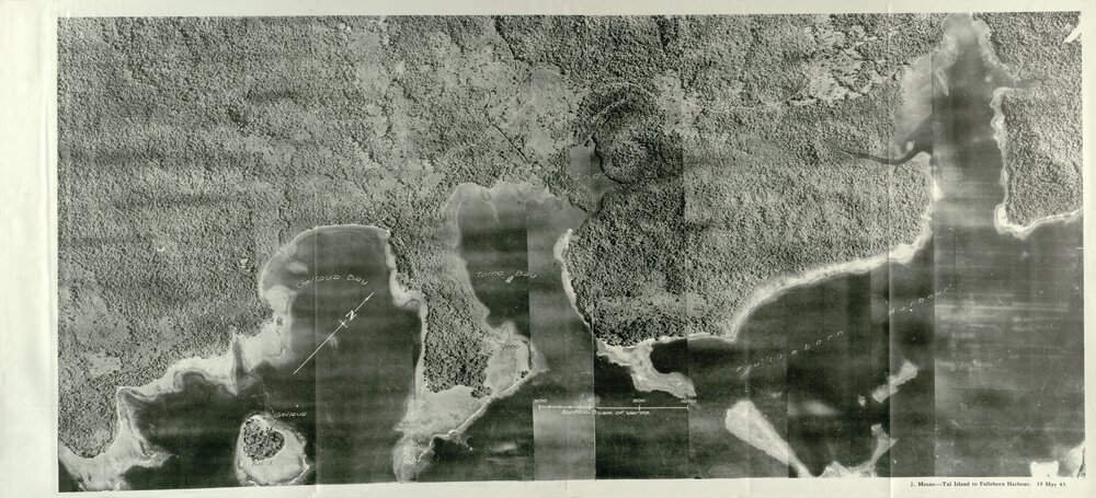 Allied Geographical Section: WWII South West Pacific Area Special Reports